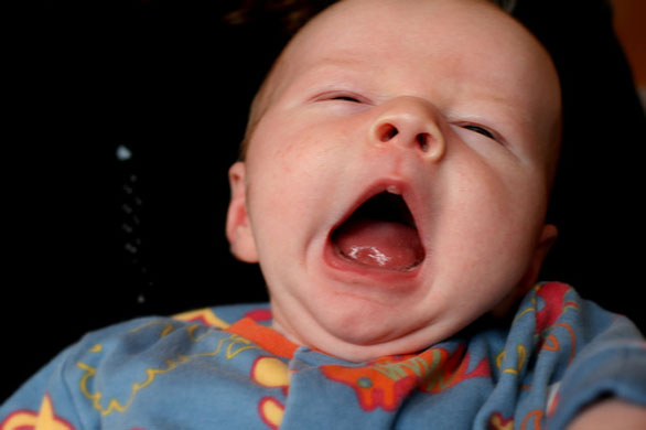 Hannah Stevenson : Hannah Stevenson camera club portfolio