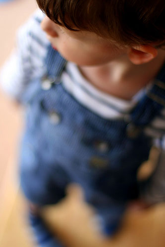 Hannah Stevenson : Hannah Stevenson camera club portfolio