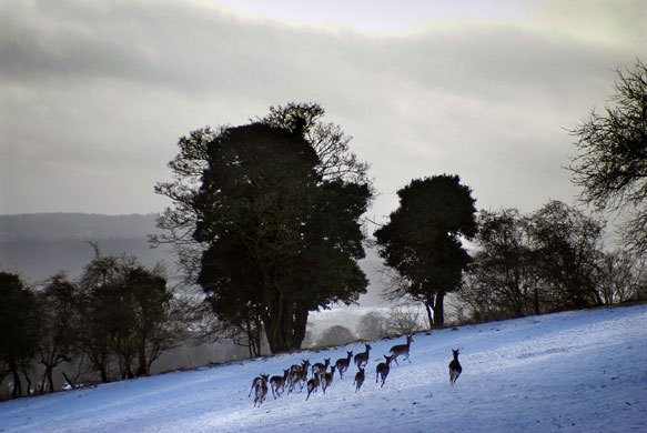 K.Arran: K.Arran's camera club portfolio