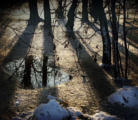 K.Arran: K.Arran's camera club portfolio