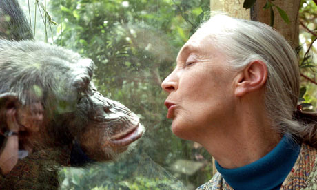 Jane Goodall, the world's