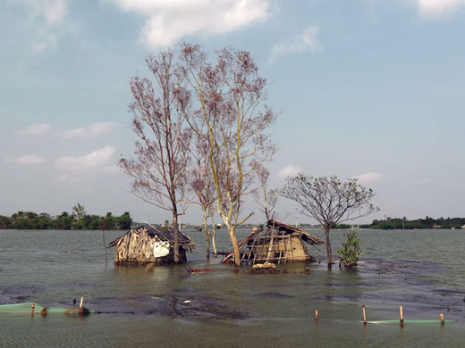 Sinking Sundarbans: Flooded homes in Kali Nagar village. 4000 people have been displaced people