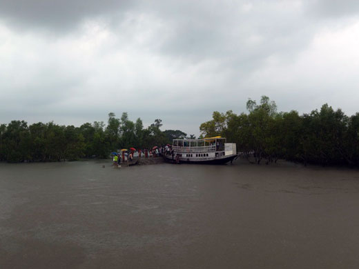 Sinking Sundarbans: Villagers await food relief supplies randomly distributed by local NGOs