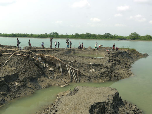 Sinking Sundarbans: Villagers work to rebuild the river bank
