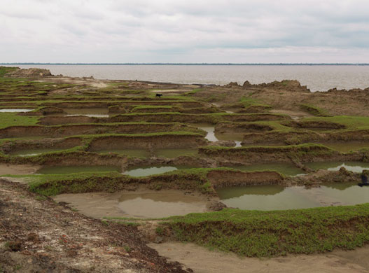 Sinking Sundarbans: Remnants of displaced homes on the edge of Ghoramara Island