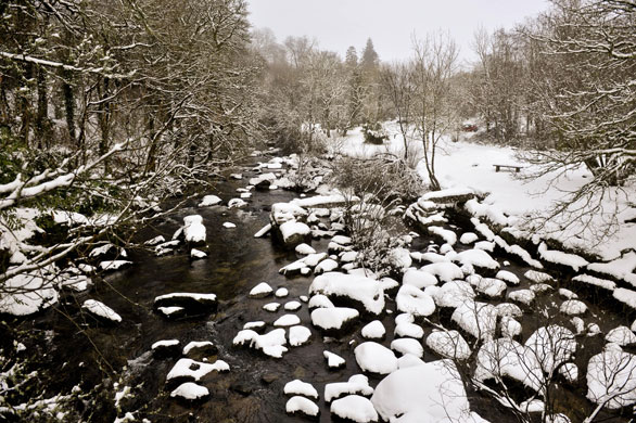 Snowing again: The river Dart at Dartmeet on Dartmoor
