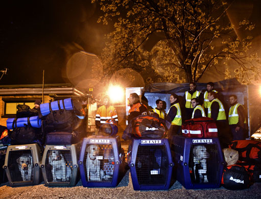 24 hours in pictures: Torrejon de Ardoz, Spain: Rescue dogs in their enclosure