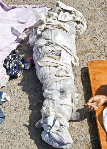 haiti earthquake: Major Earthquake Devastates Haitian Capital