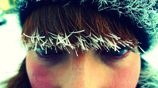 Timboss81's portfolio: A review of Timboss81's portfolio