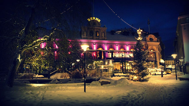 Timboss81's portfolio: A review of Timboss81's portfolio