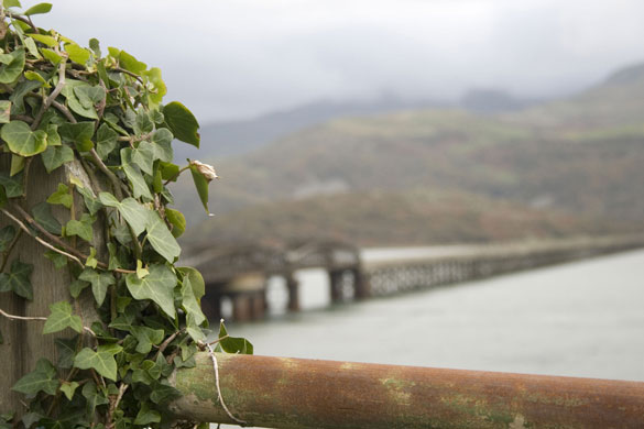 Applegreenamy's folio: A review of Amy Smith's portfolio