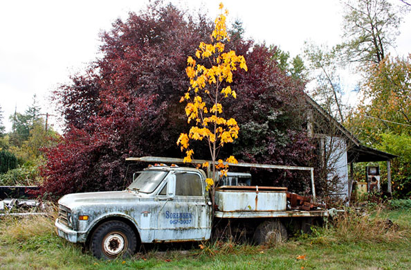 In Pictures: Hibernation: Abandoned truck