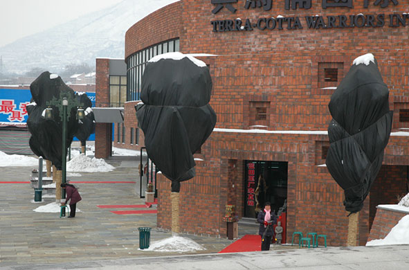 In Pictures: Hibernation: Trees in China
