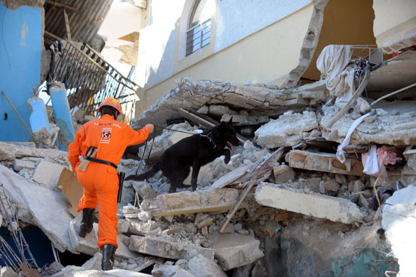 Haiti Earthquake: Haiti earthquake