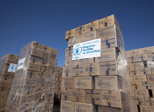 Haiti earthquake : Haiti earthquake devastation