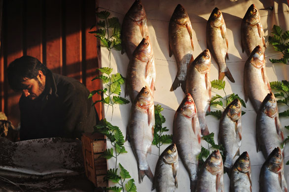 24 Hours: An Afghan fishmonger waits for customers in central Kabul