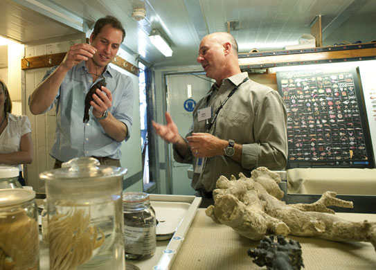 Prince William down under: Prince William inspects a fish found in the deep ocean