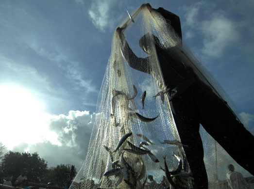 24 hours in pictures: Jimbaran, Bali: A fisherman unloads fresh catch of fish