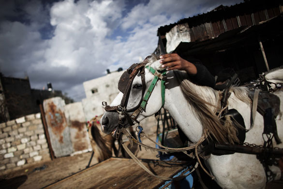 24 hours in pictures: Abu Mahmud cart repair shop  in Gaza City 