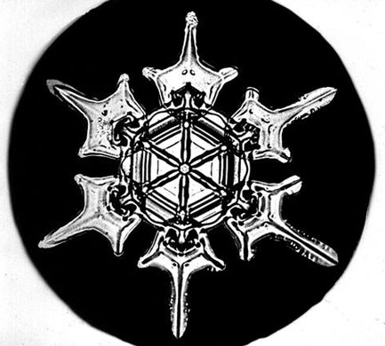 Snowflakes: Photograph by Wilson A Bentley