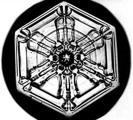 Snowflakes: Photograph by Wilson A Bentley