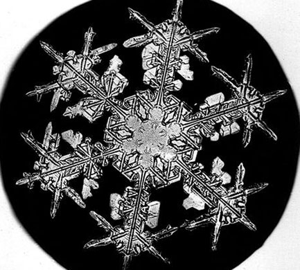 Snowflakes: Photograph by Wilson A Bentley