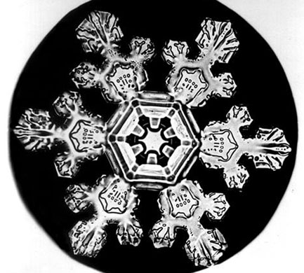Snowflakes: Photograph by Wilson A Bentley