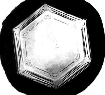 Snowflakes: Photograph by Wilson A Bentley