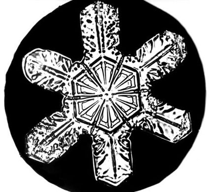 Snowflakes: Photograph by Wilson A Bentley