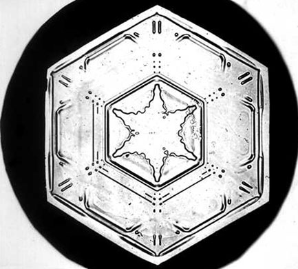 Snowflakes: Photograph by Wilson A Bentley