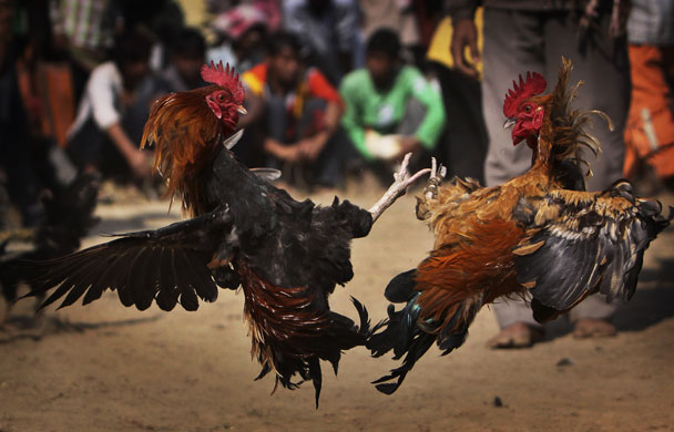 24 Hours in Pictures: India fair