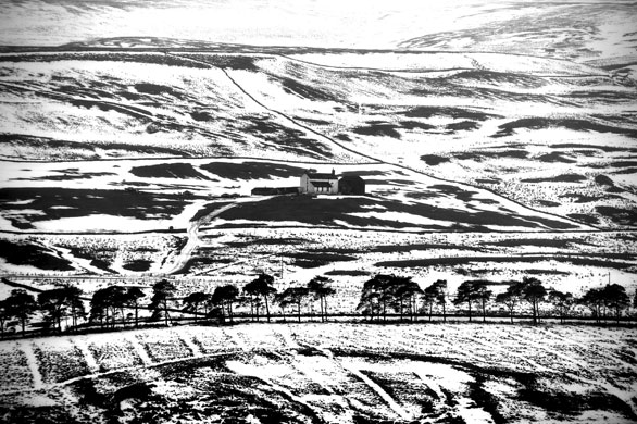 24 hours in pictures: Teeside, UK: A rural snow scene