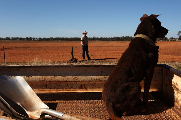 24 hours in pictures: farmers hope for rain as drought continues in new south wales