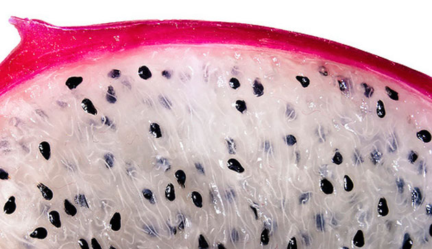 7tenths macro photography: 7tenths participates in the macro photography monthly assignment