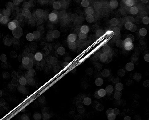 7tenths macro photography: 7tenths participates in the macro photography monthly assignment