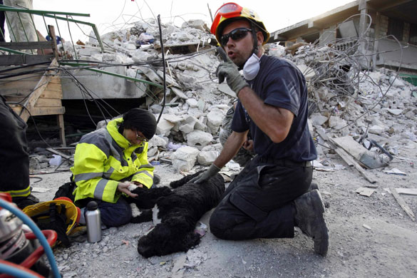 Haiti's survivors: 20 January: Germany's USAR team treat their wounded search dog