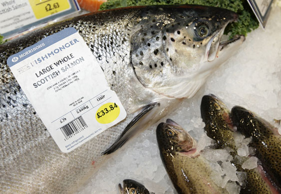 Week in business: Fish for sale are placed on ice at a Morrisons store in Coalville