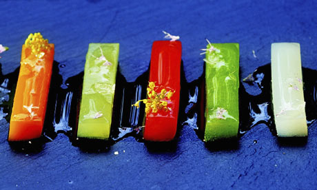 El Bulli essence of veg