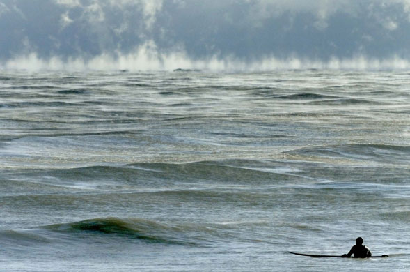 24 hours: Wisconsin, US: A man surfs in the slushy waters of Lake Michigan 