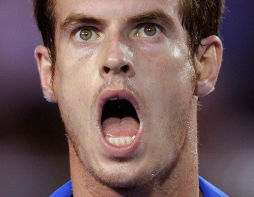 Murray v Federer: Murray v Federer