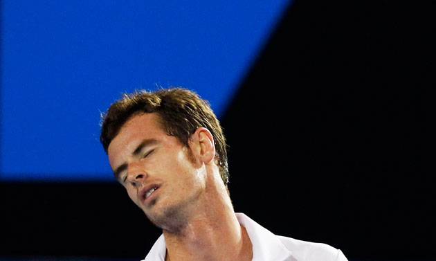 Murray v Federer: muray v federer