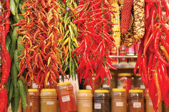 Visual History of Cooking: Various hanging chilli peppers and jars of Moorish spices