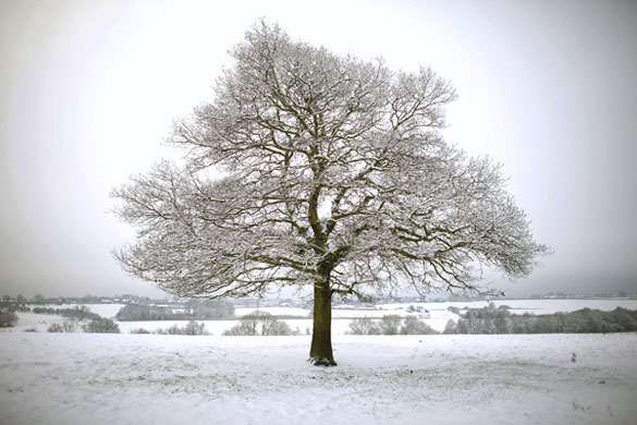 Snow: Deep snow in Harrogate