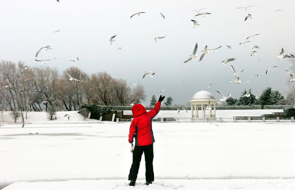 Winter weather: Blackpool, Lancashire, 5 January: Feeding the birds  on Stanley Park lake