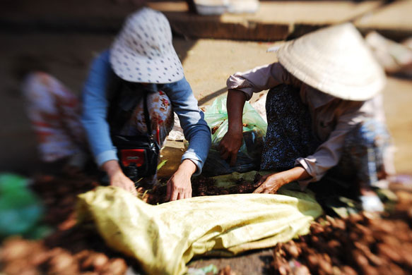 Lizzy Freundel assignment: Lizzy Freundel's Street Market Camera Club assignment