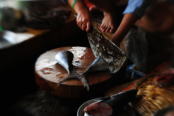 Lizzy Freundel assignment: Lizzy Freundel's Street Market Camera Club assignment