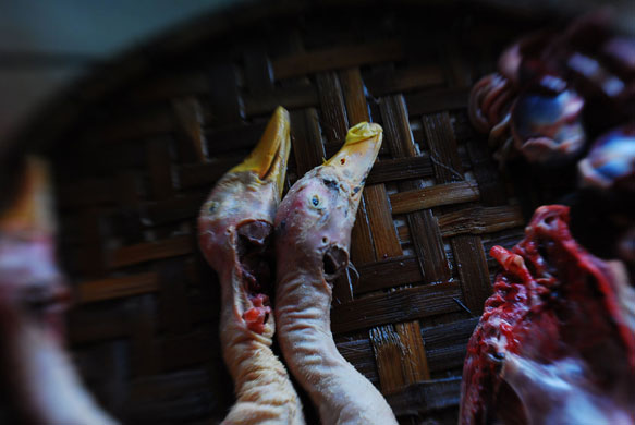 Lizzy Freundel assignment: Lizzy Freundel's Street Market Camera Club assignment