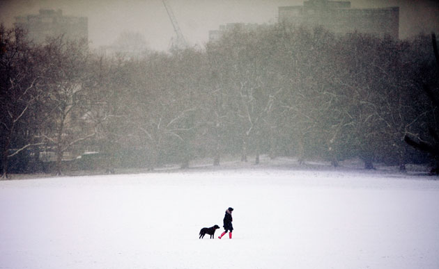 Winter weather: London: A woman walks her dog at Primrose Hill