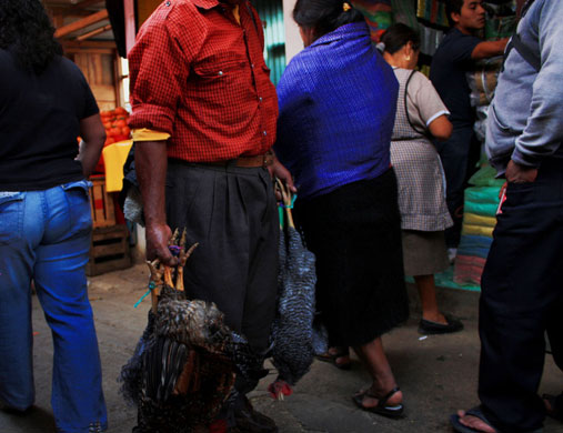 Small Northern Bird: Small Northern Bird's Street Market Camera Club assignment