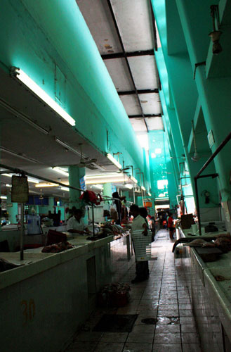 Small Northern Bird: Small Northern Bird's Street Market Camera Club assignment